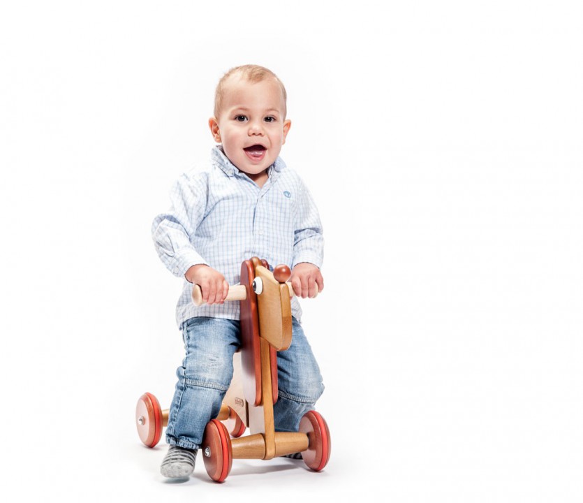 Rutschtier  Hund  Ruediger   23248 bld_1